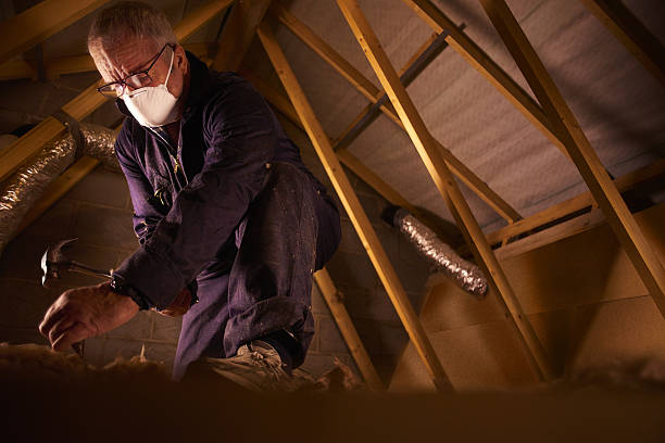 Best Eco-Friendly Insulation in Port Reading, NJ